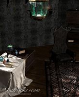 Mysterious Room Poser