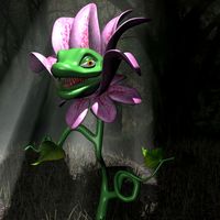Carnivorous Plant Character RIGGED 3D Model