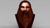 Gimli Lord of the Rings bust full color 3D printing ready | 3D