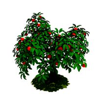 Cartoon Peach Tree