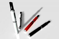 EGOW 3D Model