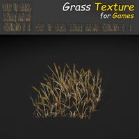 Dry Plains Grass 3D Model