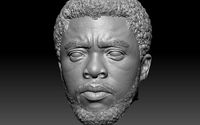 Black Panther T Challa Chadwick Boseman HEAD | 3D