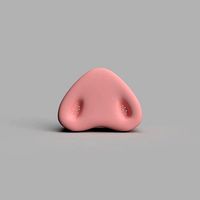 Pig Nose for costumes and cosplay | 3D