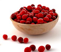 cranberry fruit bowl