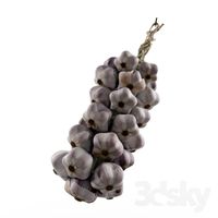 A bunch of garlic