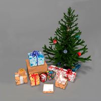 Big Cristmas set