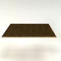 Carpet