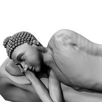 buddhastatue 3d model