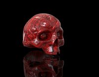 SKULL