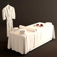 Spa Bed Massage Table 2