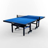 Tennis Table Ping Pong