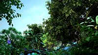 Urban Rainforest 09