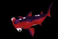 Hammerhead Shark