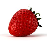 Strawberry Fruit