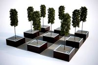 Wide flower pot  with a tree