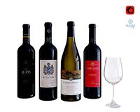 Wine bottle set 4