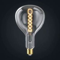 Light bulb 26