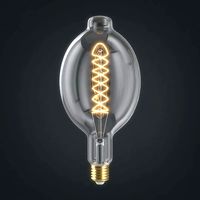 Light bulb 25