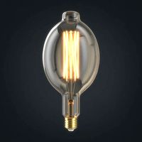 Light bulb 24