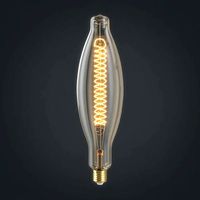 Light bulb 23