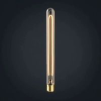 Light bulb 21