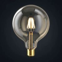 Light bulb 18