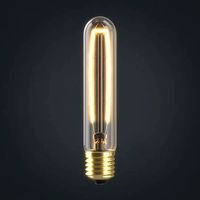 Light bulb 16