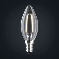 Light bulb 13