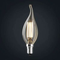 Light bulb 12