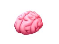 Brain