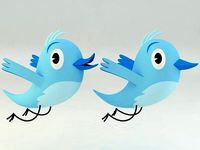 twitter bird