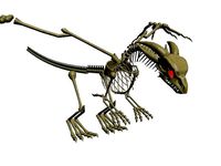 Skeleton Dragon