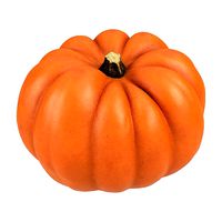 Photorealistic Mandarin Pumpkin 3D Scan 1