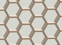 Simple plane with hexagonal mesh or honeycomb pattern