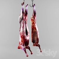 the carcass of an animal