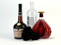 Bottle 3D Model