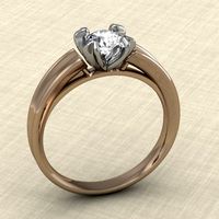 Ring 15 3D Model