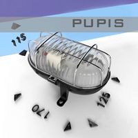 PUPIS