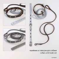 Dog collar and leash/collar and dog lead