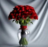 Mawar Merah