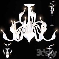 Lightstar / Cigno collo