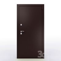 Door entrance metal