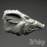 Boar
