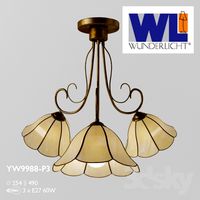 Luce YW9988-P3 Wunderlicht