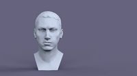 Eminem Portrait  | 3D