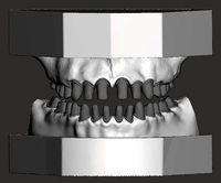 Dental practice model | 3D