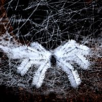 Spider Bristles Addon for G8F