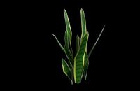 Snake Bird Plant 3D model