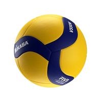 Mikasa V330W volleyball